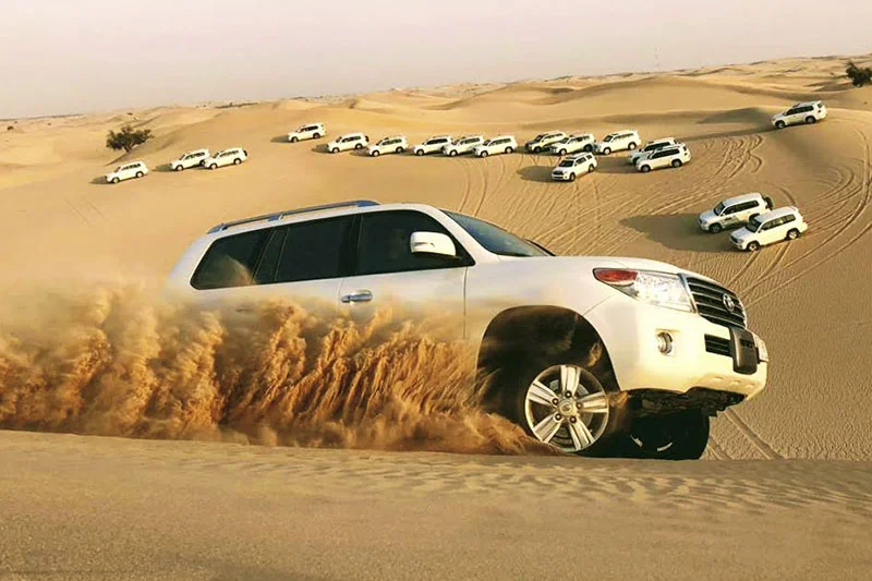 evening desert safari